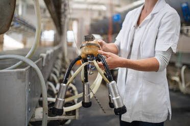 Midsection of unrecognizable woman on diary farm, milking technology in agriculture industry. - HPIF19388