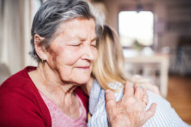 Portrait of an elderly grandmother with an adult granddaughter sitting on the sofa at home, hugging. Close up. - HPIF19622