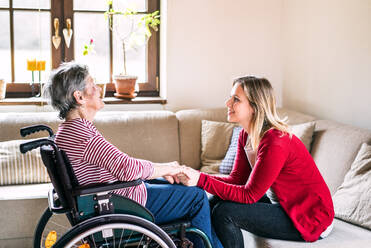 Eine ältere Großmutter im Rollstuhl und eine erwachsene Enkelin sitzen zu Hause auf dem Sofa und halten sich an den Händen. - HPIF19637