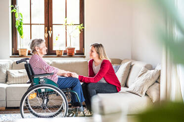 An elderly grandmother in wheelchair with an adult granddaughter sitting on the sofa at home. - HPIF19638