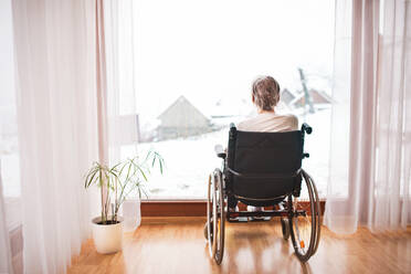 Ältere Frau im Rollstuhl zu Hause, die aus dem Fenster schaut, Rückansicht. - HPIF19745