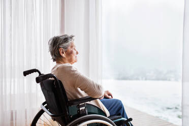 Ältere Frau im Rollstuhl zu Hause, die aus dem Fenster schaut. - HPIF19746