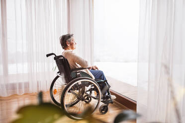 Senior woman in wheelchair at home looking out of the window. - HPIF19748