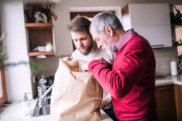 Hipster son with his senior father in the kitchen. Two generations indoors. - HPIF19842