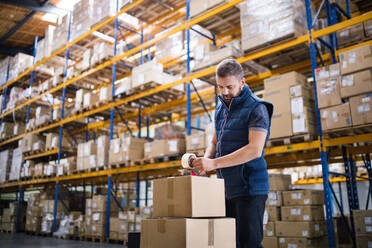 Male warehouse worker or a supercisor sealing cardboard boxes. - HPIF19994