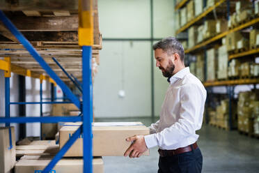 Handsome male warehouse worker or a supervisor. - HPIF20000