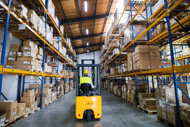 Man forklift driver working in a warehouse. Rear view. - HPIF20028