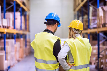 Young workers working together in a warehouse. Rear view. - HPIF20047