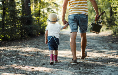 Rückansicht eines Vaters mit einem kleinen Kleinkind, das auf einem Waldweg spazieren geht, um zu angeln. - HPIF20182