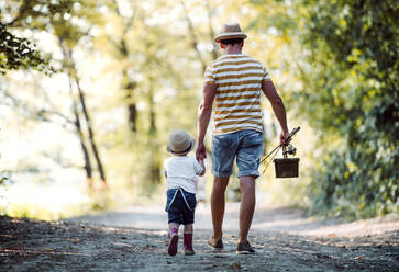 A rear view of father with a small toddler son walking on a path in wood, going fishing. - HPIF20183