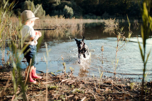 Ein kleiner Junge mit Hut und Hund, der bei Sonnenuntergang an einem See steht. Raum kopieren. - HPIF20191