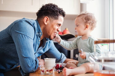 Ein Vater und sein kleiner Sohn im Kleinkindalter essen Obst und Joghurt in der Küche zu Hause. - HPIF20236