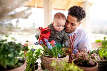 Hispanischer Vater und kleiner Sohn im Haus, der Blumen gießt. - HPIF20244