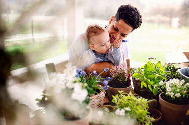 Hispanic father and small toddler son indoors at home, watering flowers. - HPIF20245