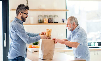 A cheerful adult hipster son and senior father indoors in kitchen at home, unpacking shopping. - HPIF20252