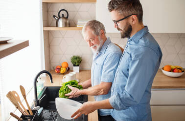 Ein erwachsener Hipster-Sohn und ein älterer Vater stehen zu Hause in der Küche, waschen Gemüse und bereiten Salat zu. - HPIF20272