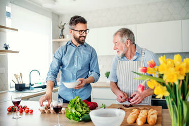 Ein erwachsener Hipster-Sohn und ein älterer Vater in der Küche zu Hause beim Kochen. - HPIF20278