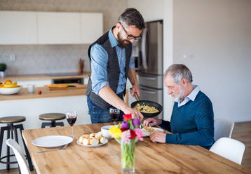 Erwachsener Hipster-Sohn und älterer Vater sitzen zu Hause am Tisch und essen zu Mittag. - HPIF20299