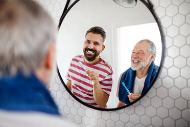 A cheerful adult hipster son and senior father in bathroom indoors at home, looking at mirror and brushing teeth. - HPIF20327