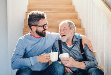 Ein erwachsener Hipster-Sohn und ein älterer Vater sitzen mit einem Kaffee am Fuße einer Treppe in einem Haus und unterhalten sich. - HPIF20358