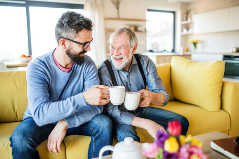 Ein erwachsener Hipster-Sohn und ein älterer Vater sitzen zu Hause auf dem Sofa und trinken Tee. - HPIF20379