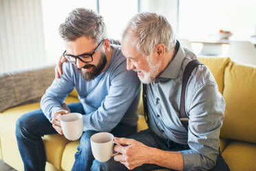 Ein erwachsener Hipster-Sohn und ein älterer Vater sitzen mit Kaffee auf dem Sofa zu Hause und unterhalten sich. - HPIF20380