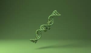 DNA bedeckt mit grünen Pflanzen vor grünem Hintergrund - MSMF00046