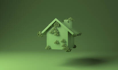 House covered with green plants against green background - MSMF00051