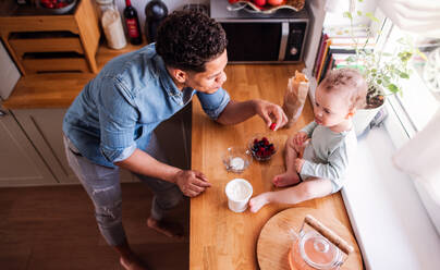 Draufsicht auf einen Vater und ein kleines Kleinkind, das in der Küche zu Hause Obst und Joghurt isst. - HPIF20413