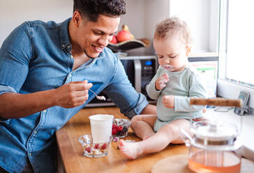 Ein Vater und sein kleiner Sohn im Kleinkindalter essen Obst und Joghurt in der Küche zu Hause. - HPIF20415