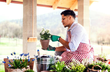 Ein Porträt von jungen fröhlichen Mann Gärtner im Freien zu Hause, das Pflanzen von Blumen. - HPIF20437