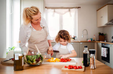 Porträt eines kleinen Mädchens mit Großmutter in einer Küche zu Hause, die einen Gemüsesalat zubereitet. - HPIF20541