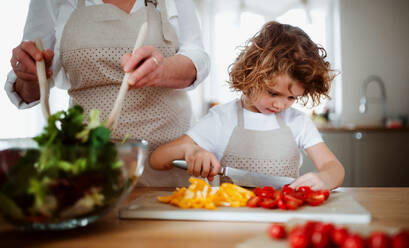 A portrait of small girl with grandmother in a kitchen at home, preparing vegetable salad. - HPIF20542