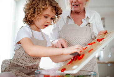 Porträt eines kleinen Mädchens mit Großmutter in einer Küche zu Hause, die einen Gemüsesalat zubereitet. - HPIF20555