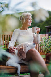 A senior woman with a dog and coffee sitting outdoors on a terrace on sunny day in summer. - HPIF20623