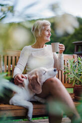 Eine ältere Frau mit einem Hund und einem Kaffee sitzt an einem sonnigen Sommertag auf einer Terrasse. - HPIF20623