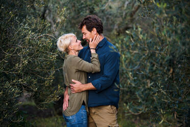 Ein junges, zärtliches Paar steht im Freien in einem Olivenhain und umarmt sich. - HPIF20691