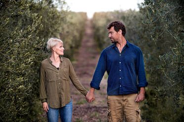 Young couple walking outdoors in olive orchard, looking at each other and holding hands. - HPIF20694