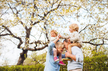 Ältere Großeltern mit kleinen Enkelkindern unter einem blühenden Baum im Frühling. - HPIF20709