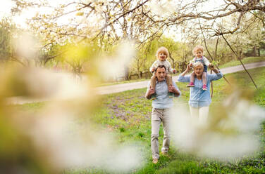 Ältere Großeltern mit kleinen Enkelkindern, die im Frühling in der Natur spazieren gehen und sich an den Händen halten. - HPIF20710