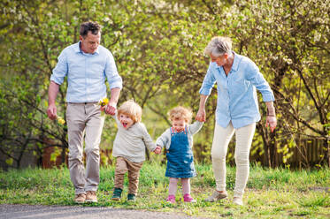 Senior grandparents with toddler grandchildren walking in nature in spring, holding hands. - HPIF20712