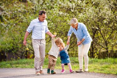 Ältere Großeltern mit kleinen Enkelkindern, die im Frühling in der Natur spazieren gehen und sich an den Händen halten. - HPIF20713