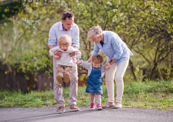 Ältere Großeltern mit kleinen Enkelkindern, die im Frühling in der Natur spazieren gehen und sich an den Händen halten. - HPIF20714