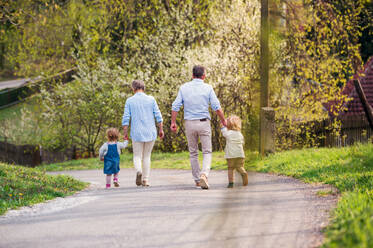 Ältere Großeltern mit kleinen Enkelkindern, die im Frühling auf der Straße spazieren gehen und sich an den Händen halten. - HPIF20715