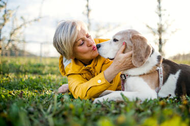 Vorderansicht einer älteren Frau, die im Frühling im Gras liegt und ihren Hund küsst. - HPIF20729