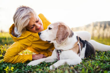 Vorderansicht einer älteren Frau, die im Frühling im Gras liegt und ihren Hund streichelt. - HPIF20731