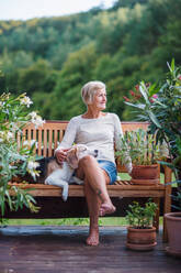 A senior woman with a dog sitting outdoors on a terrace on sunny day in summer, resting. - HPIF20765