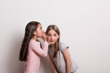 Zwei kleine fröhliche Mädchen stehen in einem Atelier. Ein kleines Mädchen flüstert ihrer Freundin etwas ins Ohr. - HPIF21035