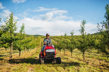 Frontansicht eines reifen Landwirts, der einen Minitraktor in einem Obstgarten fährt. - HPIF21212
