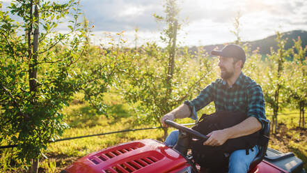 Frontansicht eines reifen Landwirts, der einen Minitraktor in einem Obstgarten fährt. - HPIF21231